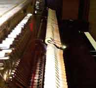 Piano Care